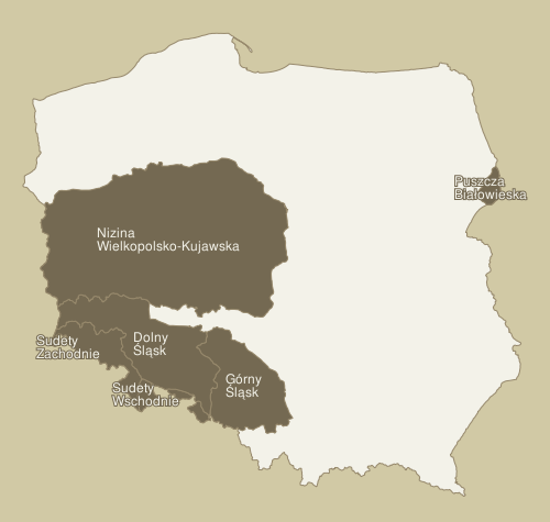 map - KFP regions