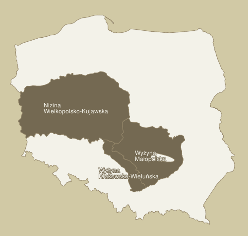 map - KFP regions